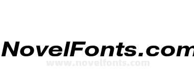 Pragmatica Ext Bold Obl