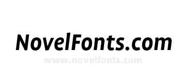 Profile Pro Bold Ita