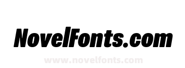 Program NarOT Black Italic