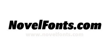 ProgramOT Black Italic