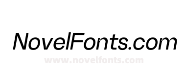 Random Grotesque Standard Medium Italic