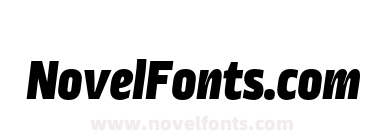 Ropa Sans Pro Black Italic