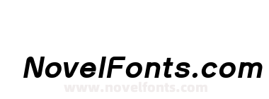 SK Curiosity Heavy Italic