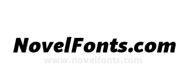Sana Sans Heavy Italic