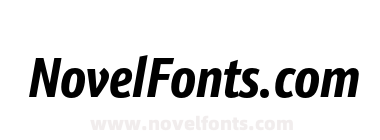 Schnebel Sans Pro Comp Bold Italic