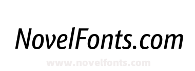 Schnebel Sans Pro Comp Italic