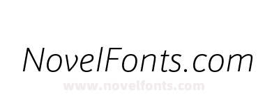 Schnebel SansME Thin Italic