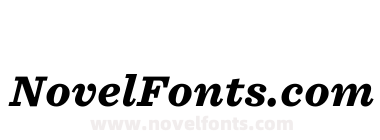 Sentinel SSm Pro Black Italic