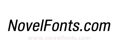 Shapiro W05 43 Italic
