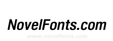 Shapiro W05 63 Italic