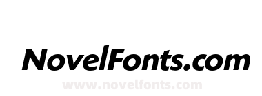 ShinnRR Bold Italic