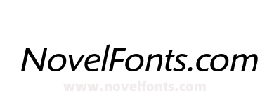 ShinnRR Book Italic