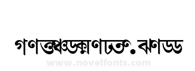Shree Ass 0552