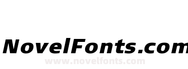 Signa Black Italic