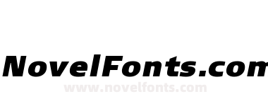 Signa Extra Black Italic