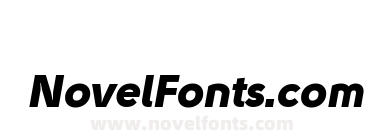 Solomon Sans Trial Black Italic