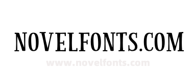 Storyteller Serif Black