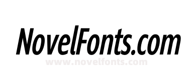 Supra W03 Norm Compressed Italic