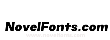 TG Haido Grotesk Black Italic