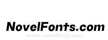 TG Haido Grotesk Extrabold Italic