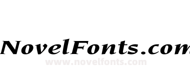 Neuvarese Bold Italic Ex