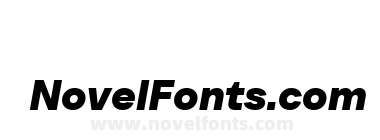 TT Neoris Trial Bold Italic
