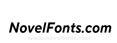 TT Norms Pro Compact Bold Italic