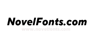 TT Norms Pro Compact ExtraBold Italic
