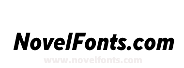 TT Norms Pro Condensed Extra Bold Italic
