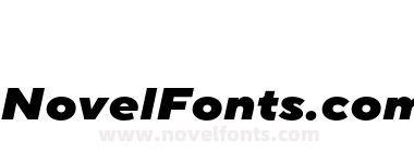 TT Norms Pro Expanded Black Italic
