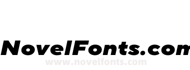 TT Norms Pro Expanded Black Italic