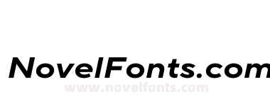 TT Norms Pro Expanded Bold Italic