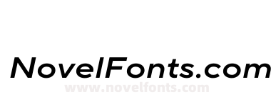 TT Norms Pro Expanded Demi Bold Italic