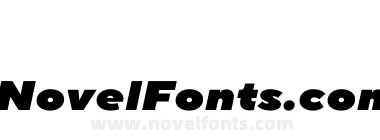 TT Norms Pro Expanded Extra Black Italic