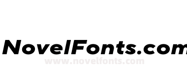 TT Norms Pro Expanded Extra Bold Italic