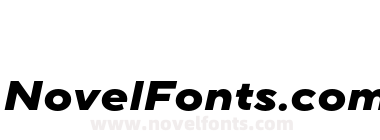 TT Norms Pro Expanded ExtraBold Italic