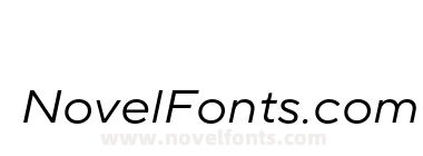 TT Norms Pro Expanded Italic