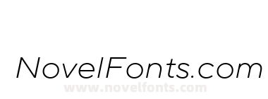 TT Norms Pro Expanded Light Italic