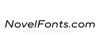 TT Norms Pro Expanded Normal Italic