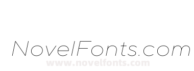 TT Norms Pro Expanded Thin Italic