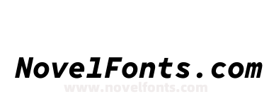 TT Norms Pro Mono Bold Italic