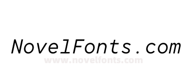 TT Norms Pro Mono Italic