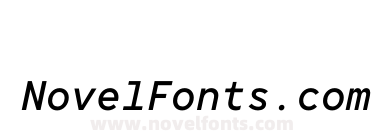 TT Norms Pro Mono Medium Italic