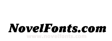 TT Norms Pro Serif Trl Extra Blc It