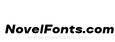 TT Travels Text Trial Black Italic