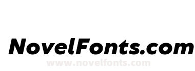 TT Wellingtons Black Italic