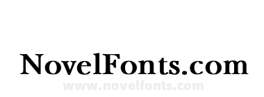 NewBaskerville Bold