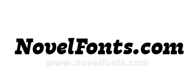 Tarif Extrabold Italic