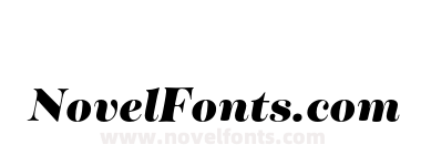 Tenez Black Italic