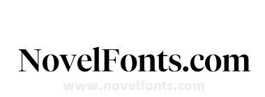 Test Tiempos Fine Medium